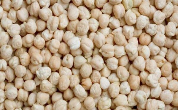 Kabuli Chickpeas