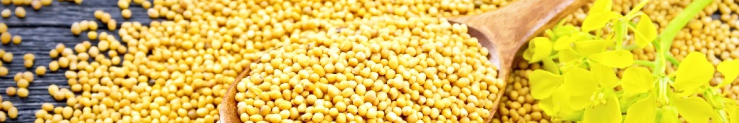 Mustard seeds in a spoon and on a table with a flower against a black wooden board