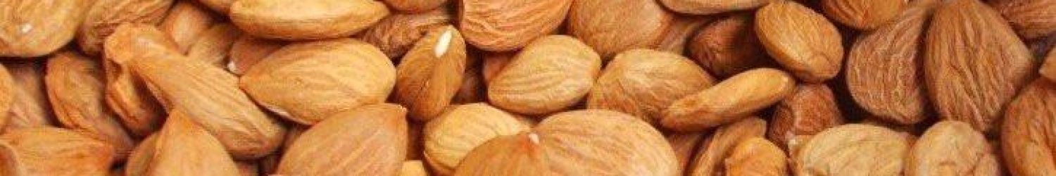 Apricot_kernels_725x544