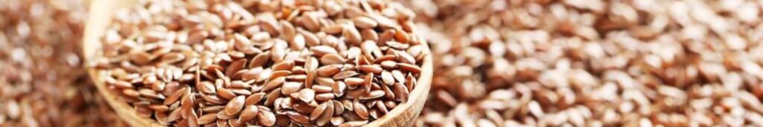 Flax-Seeds-1024x683-1